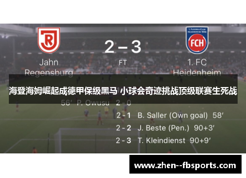 海登海姆崛起成德甲保级黑马 小球会奇迹挑战顶级联赛生死战